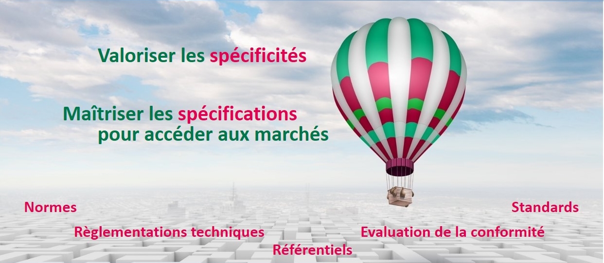 Spécificités - Spécifications
